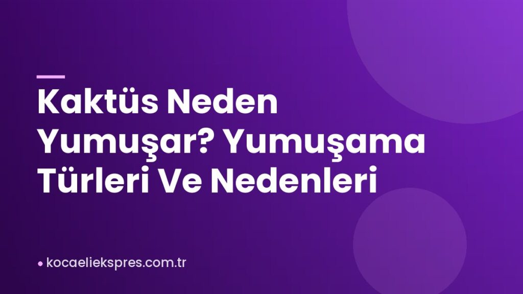 Kaktüs Neden Yumuşar? Yumuşama Türleri Ve Nedenleri