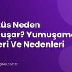 Kaktüs Neden Yumuşar? Yumuşama Türleri Ve Nedenleri